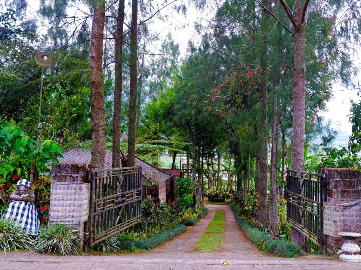 Oak Tree Bali Bedugul (Bali) Exterior foto