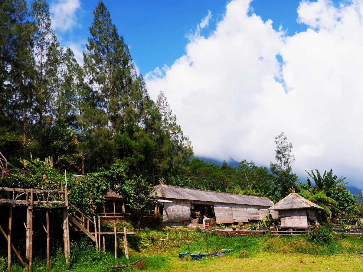 Oak Tree Bali Bedugul (Bali) Exterior foto